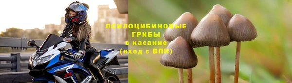 МДПВ Армянск