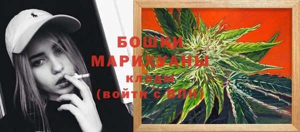 эйфоретик Арсеньев