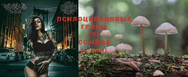 эйфоретик Арсеньев