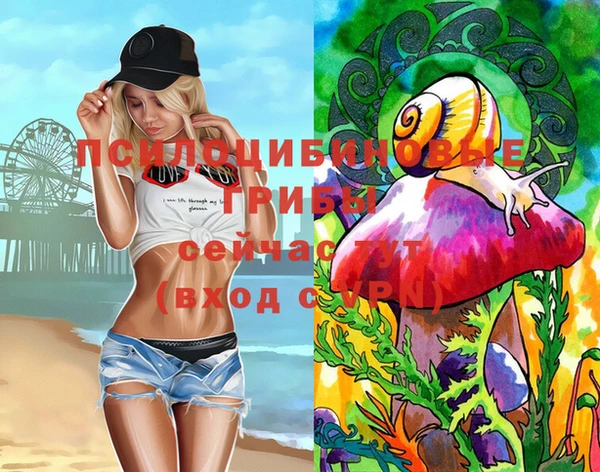 МДПВ Армянск