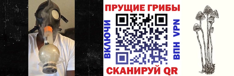 Псилоцибиновые грибы Psilocybine cubensis  kraken ссылки  Удачный  где можно купить  